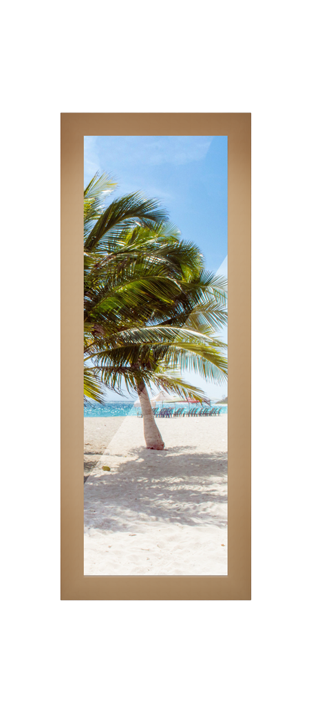 Full Observation Panel