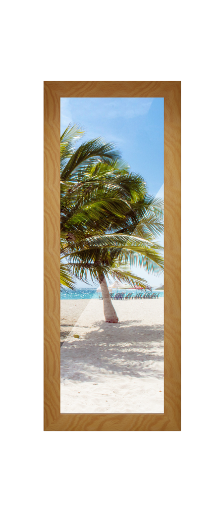 Full Observation Panel