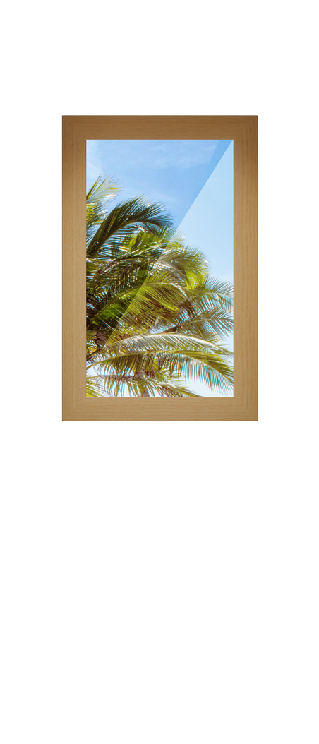 Half Observation Panel