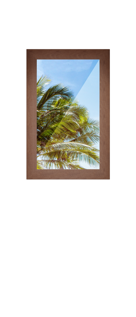 Half Observation Panel