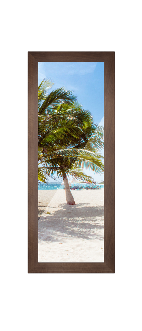 Full Observation Panel