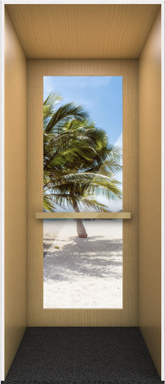 Full Observation Panel