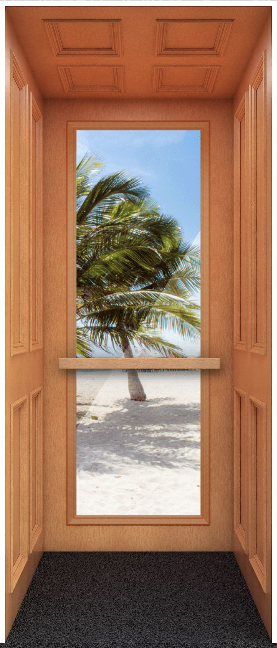 Full Observation Panel