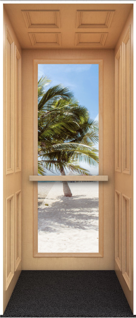 Full Observation Panel