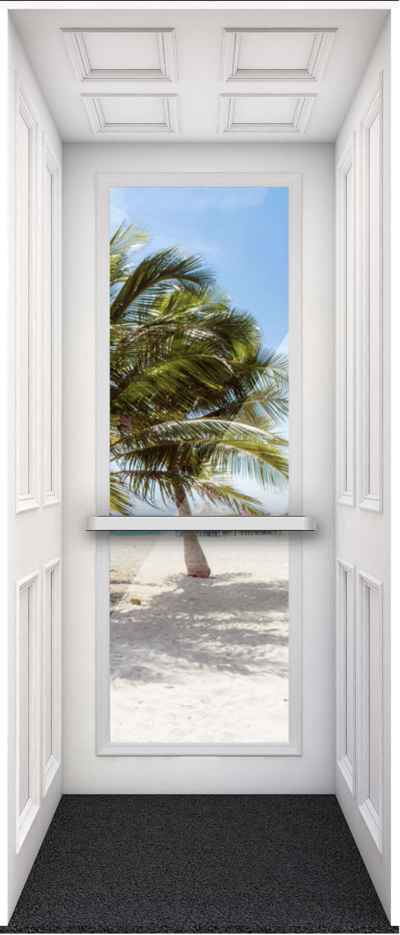 Full Observation Panel