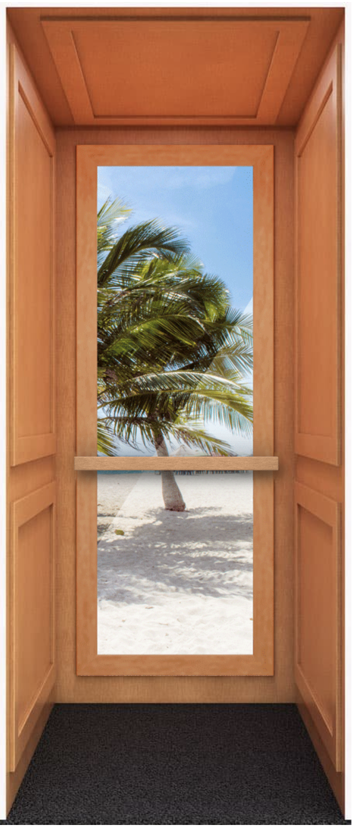 Full Observation Panel