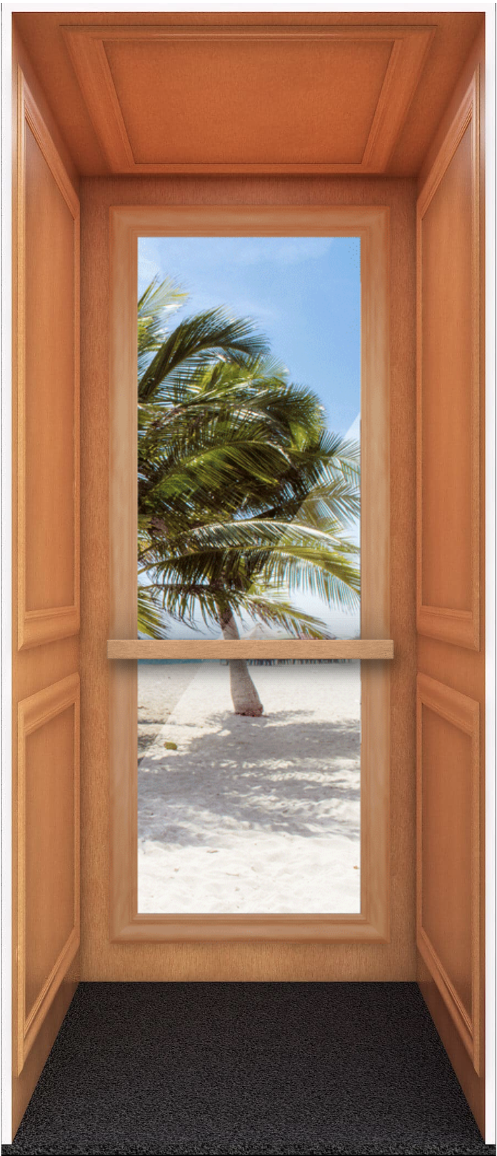 Full Observation Panel