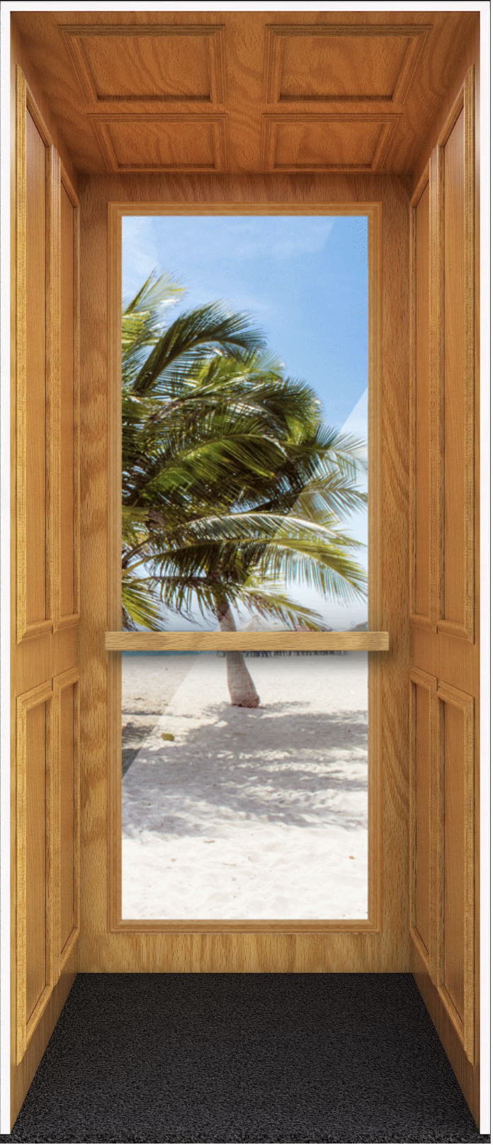 Full Observation Panel